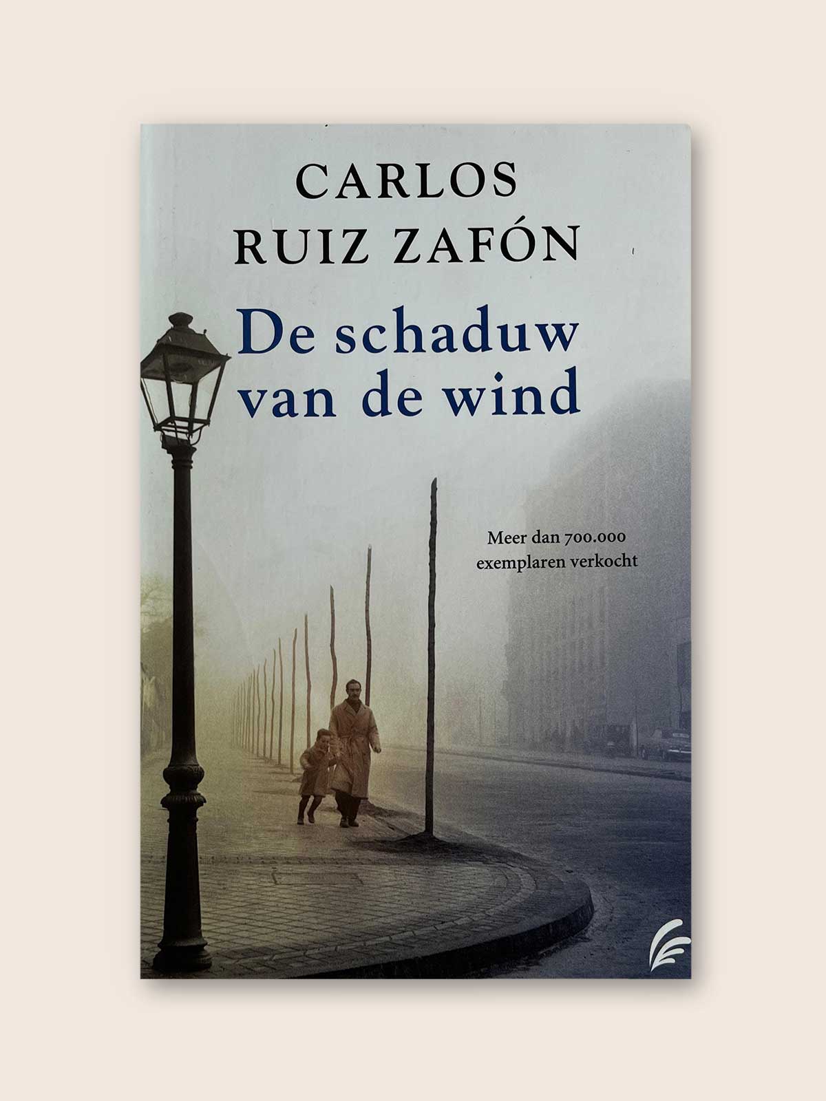 De schaduw van de wind