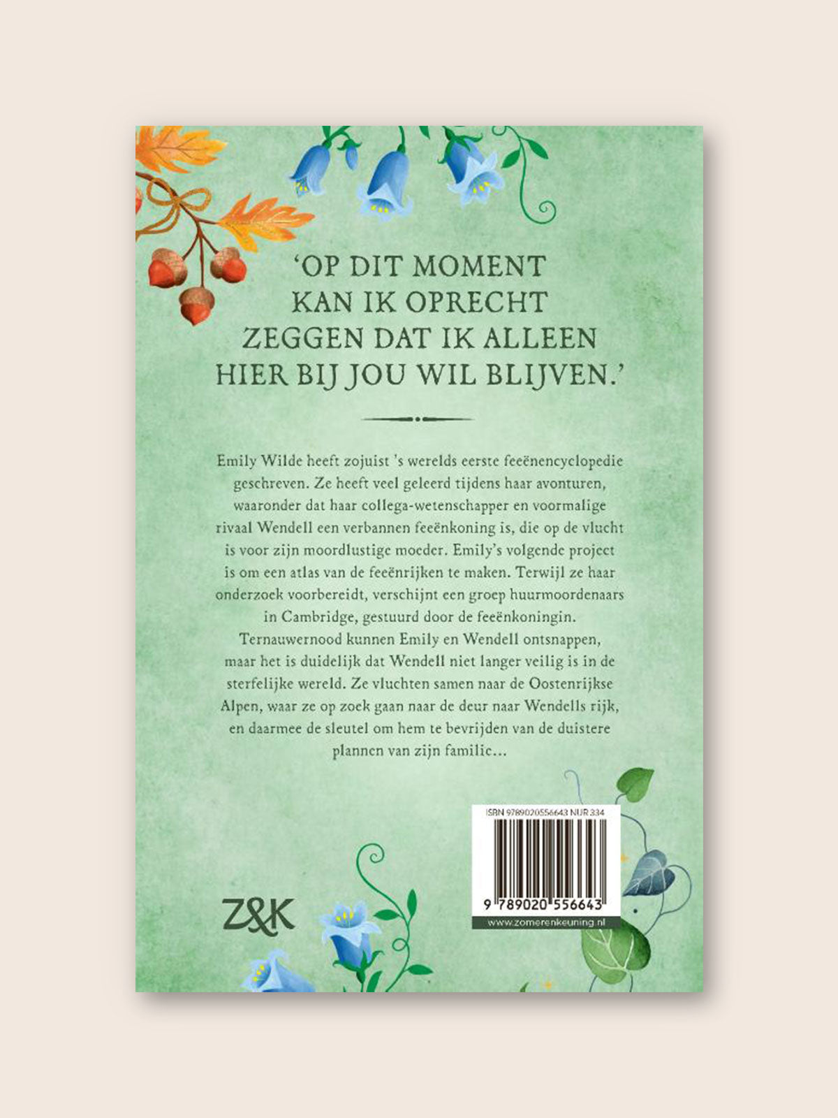 Emily Wildes atlas der Anderlanden
