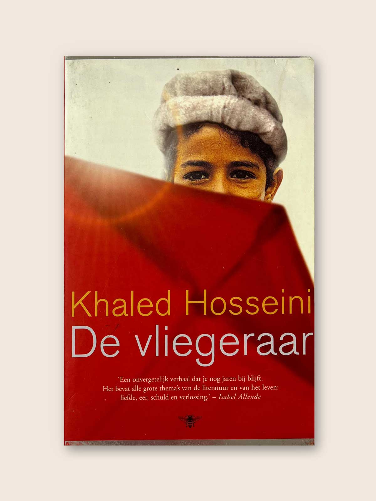 De vliegeraar