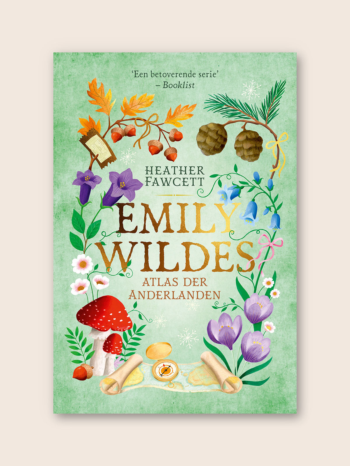 Emily Wildes atlas der Anderlanden