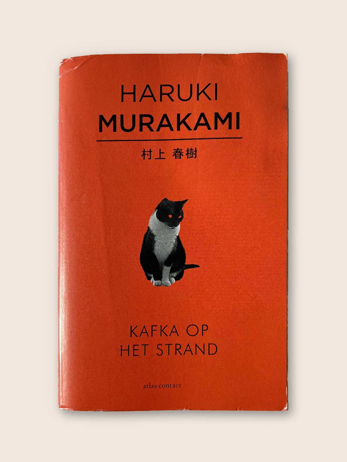 Kafka op het strand