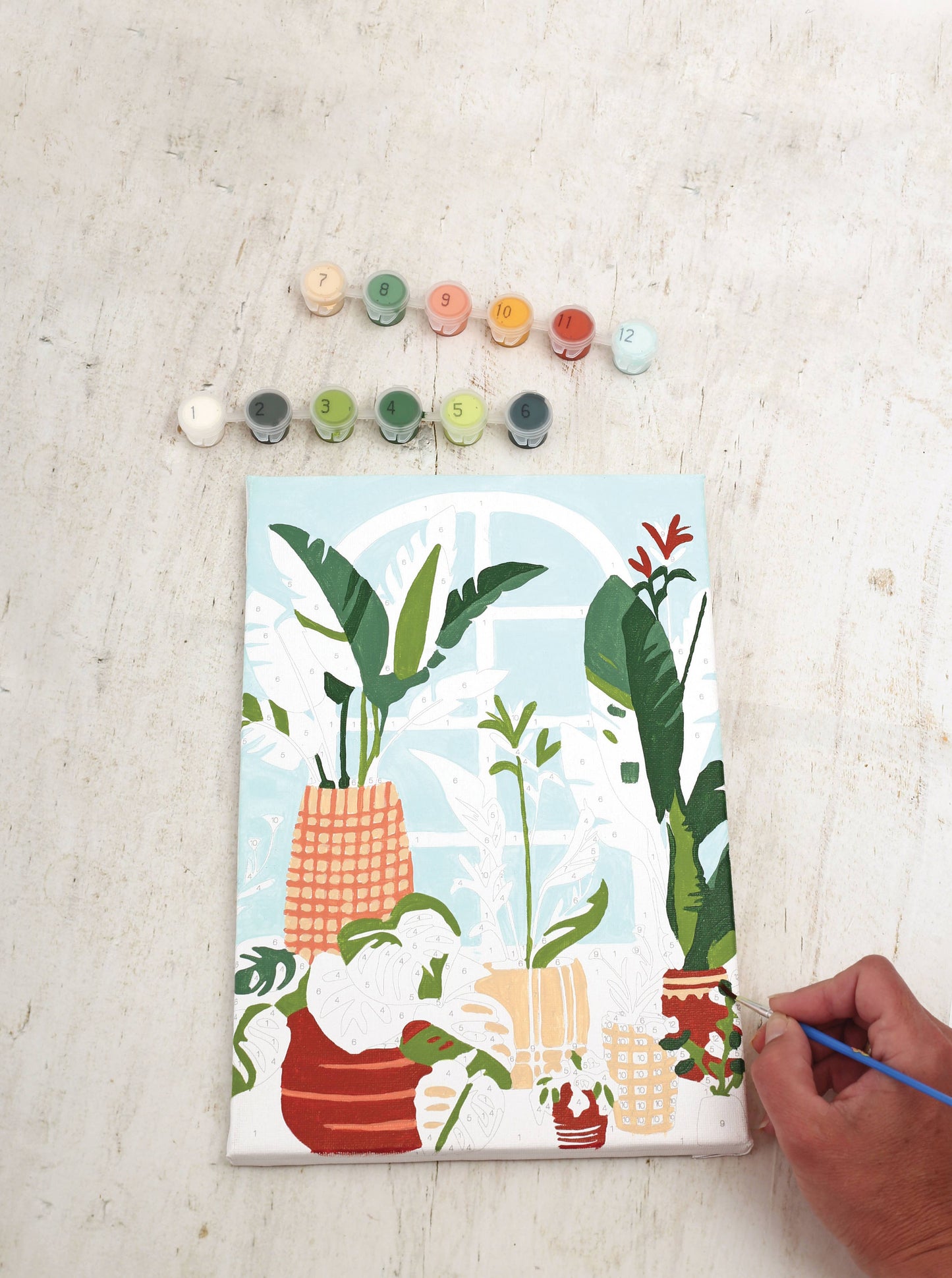 Schilderen op nummer - Plantjes